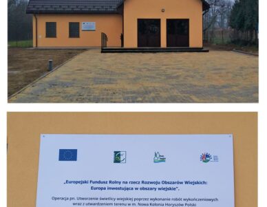 Utworzenie świetlicy wiejskiej w m. Nowa Kolonia Horyszów Polski